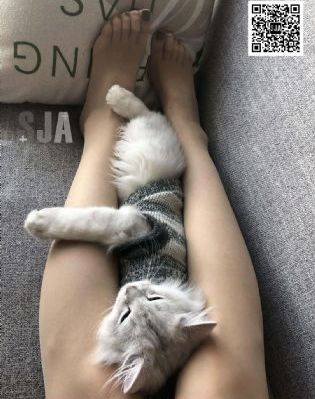 国产酒窖空调都有哪些_1080动漫在线观看